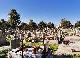 Spišská Belá - Historický cintorín