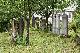 Turá Lúka (Myjava) - Židovský cintorín