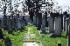 Trnava - Židovský cintorín
