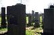 Trnava - Židovský cintorín