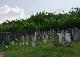 Kráľovský Chlmec - Židovský cintorín
